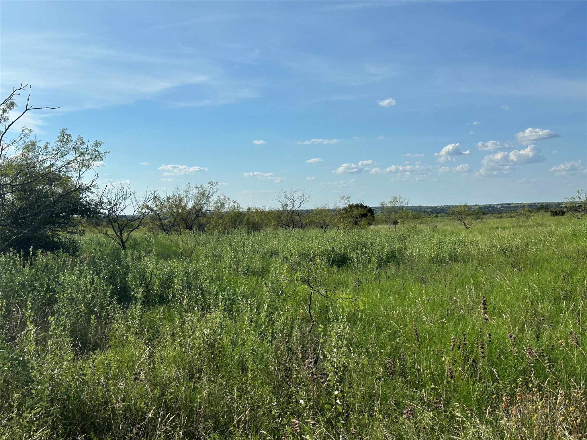 TBD2 Cr 614 Hamilton TX 76531