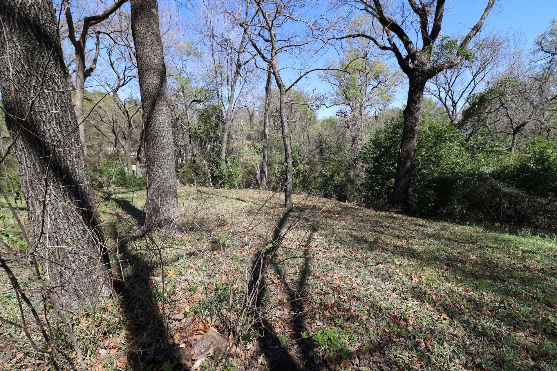 0 Elaine Drive Gun Barrel City TX 75156