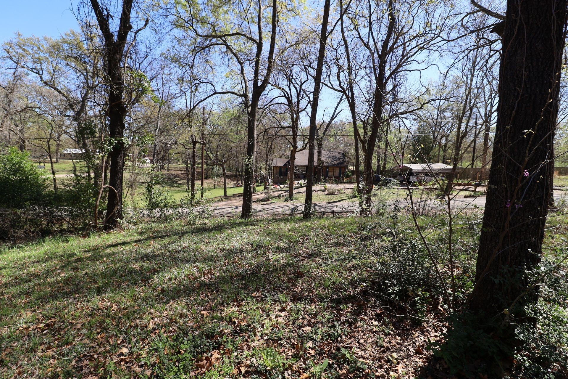 0 Elaine Drive Gun Barrel City TX 75156