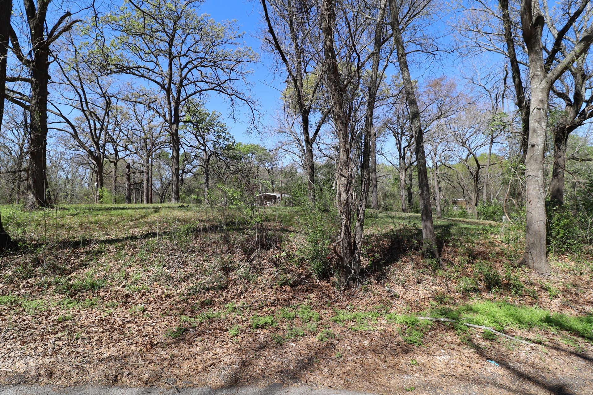0 Elaine Drive Gun Barrel City TX 75156