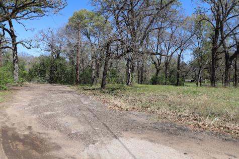 0 Elaine Drive Gun Barrel City TX 75156