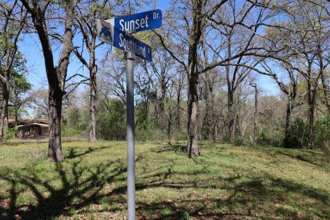 0 Elaine Drive Gun Barrel City TX 75156