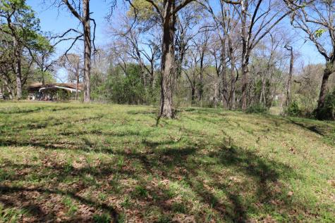 0 Elaine Drive Gun Barrel City TX 75156