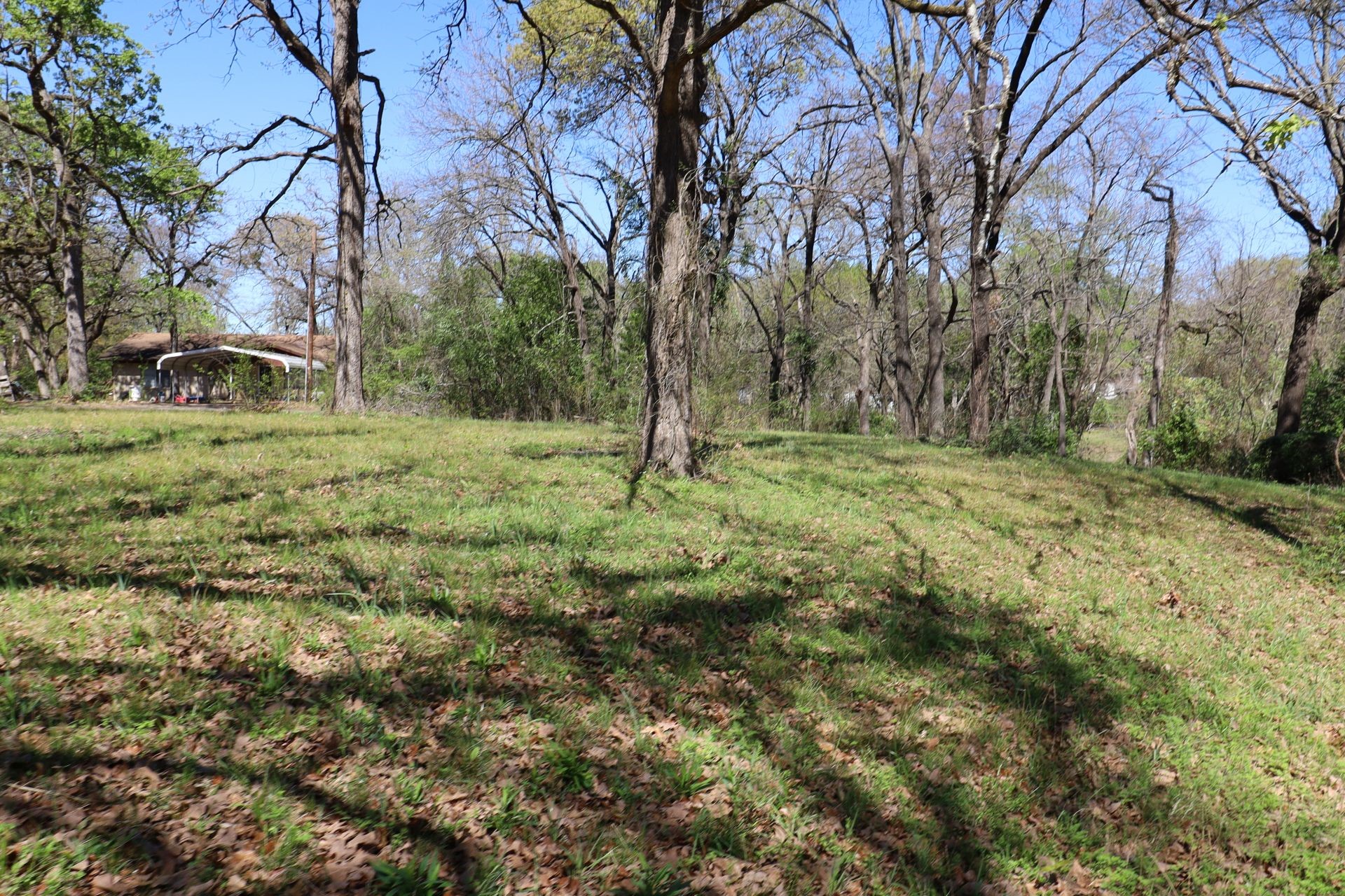 0 Elaine Drive Gun Barrel City TX 75156