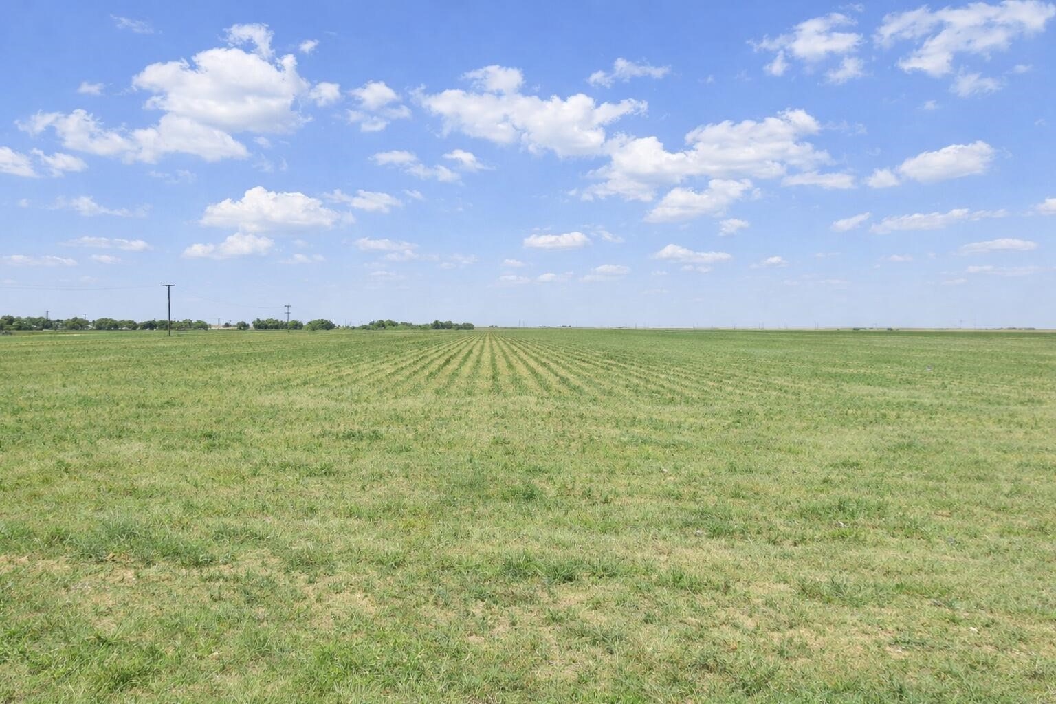 0 E Ellis Street Levelland TX 79336