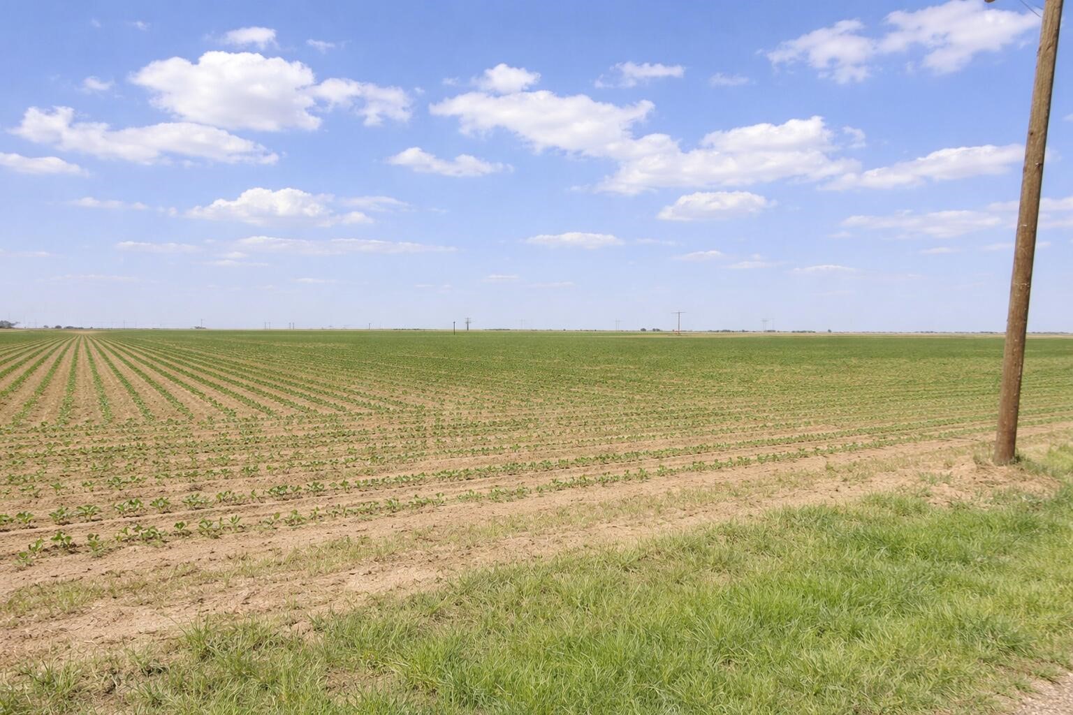 0 E Ellis Street Levelland TX 79336