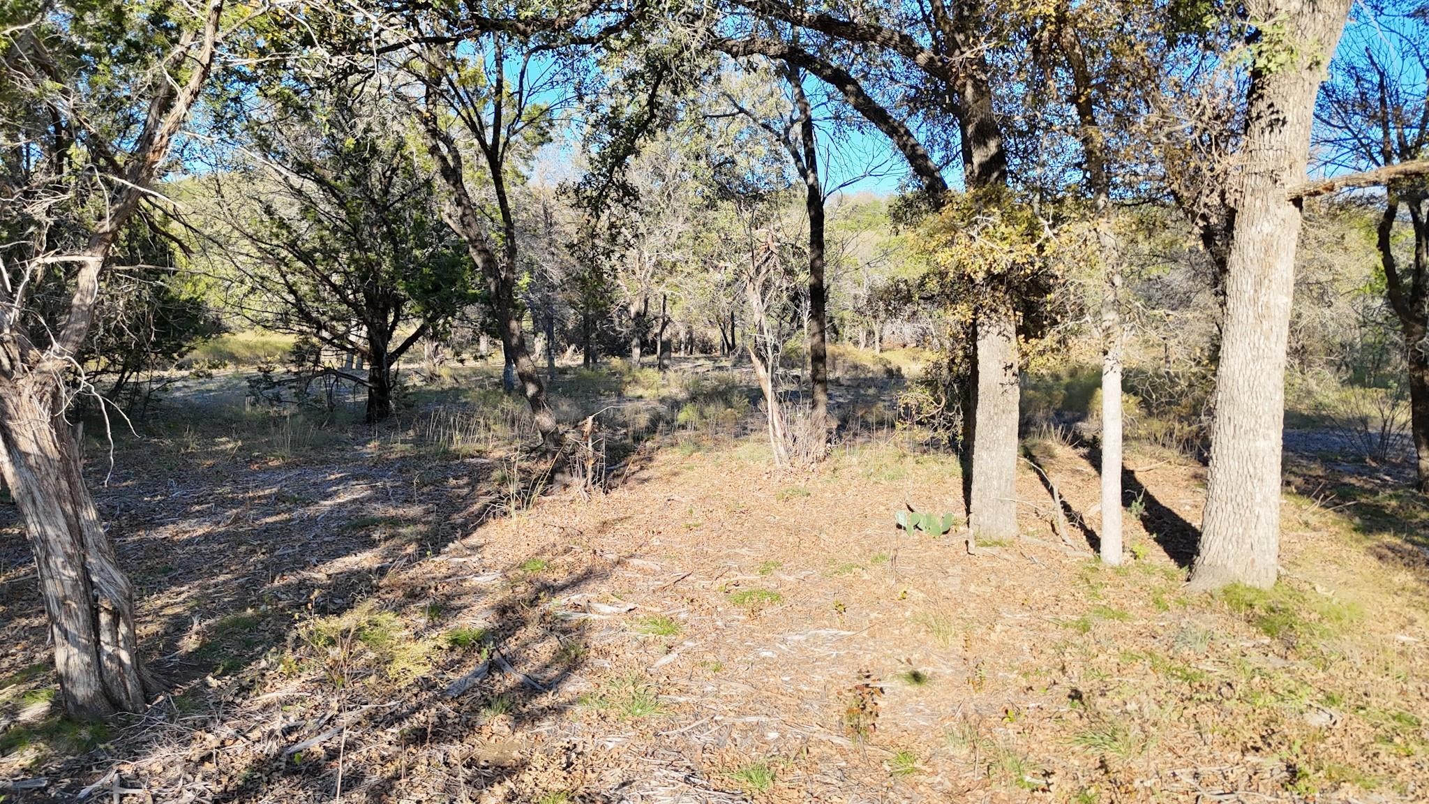 Lot 187 Wooded Acres Drive Mineral Wells TX 76067