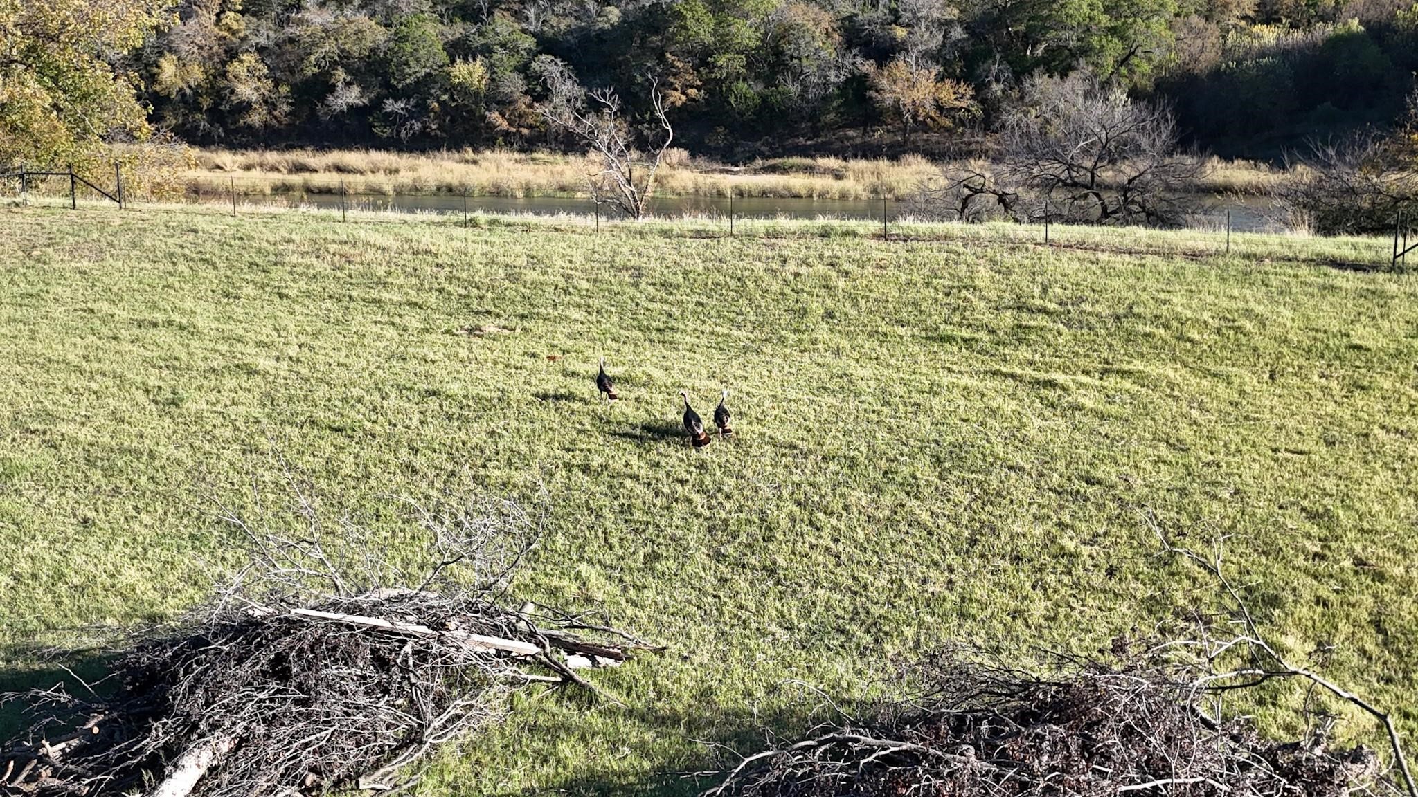 Lot 187 Wooded Acres Drive Mineral Wells TX 76067