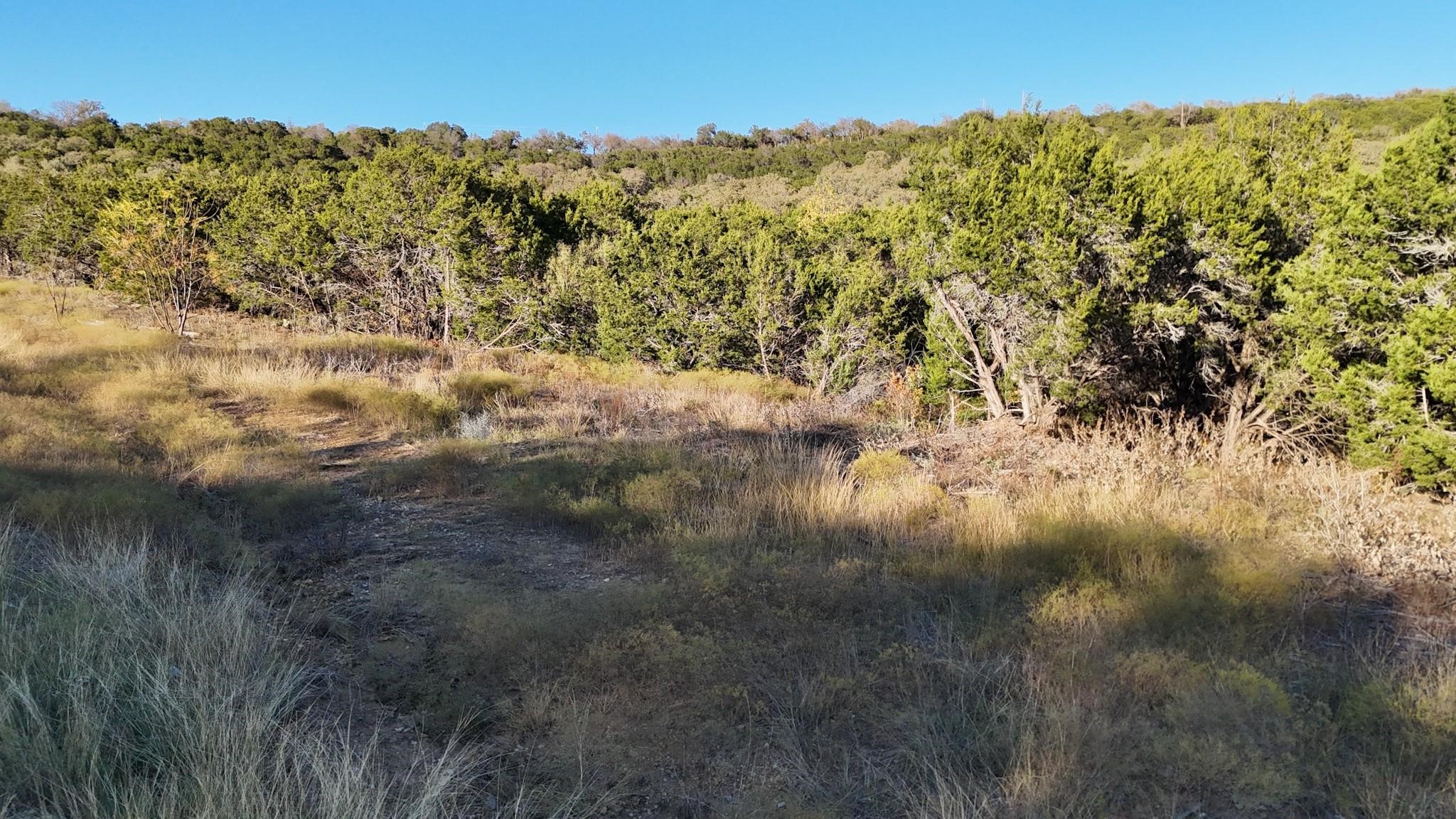 Lot 187 Wooded Acres Drive Mineral Wells TX 76067