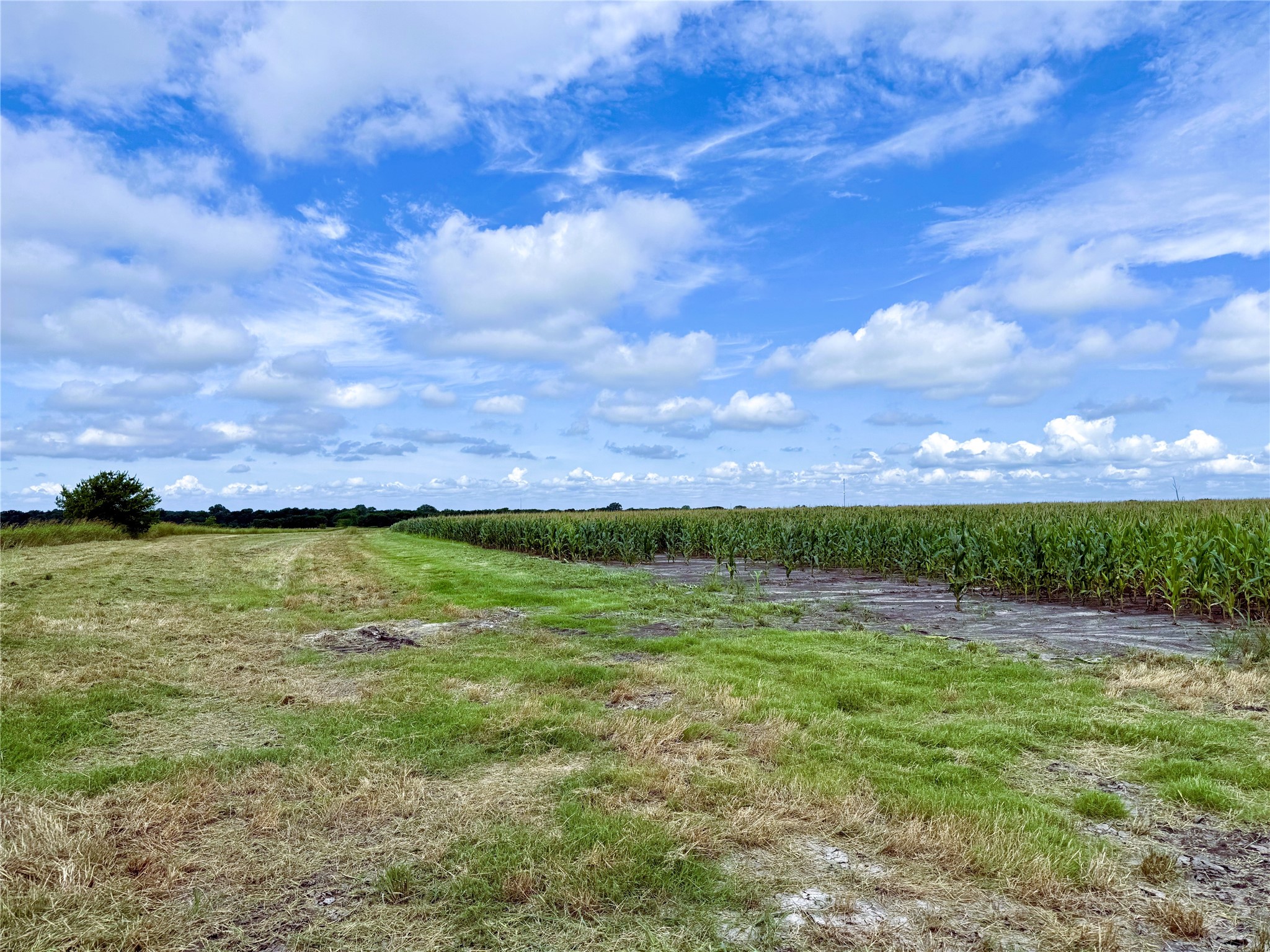 Tbd Fm Highway 272 Leonard TX 75452
