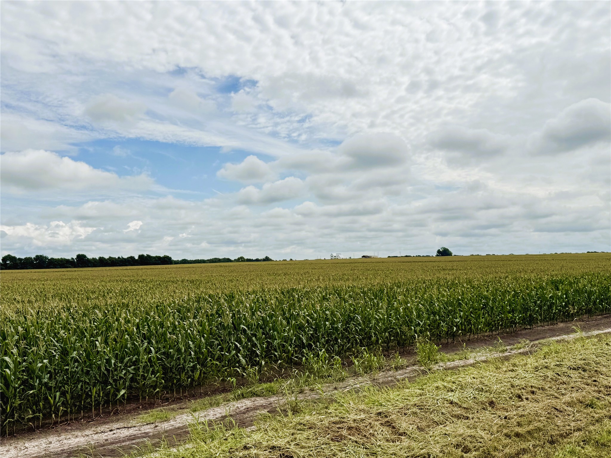 Tbd Fm Highway 272 Leonard TX 75452