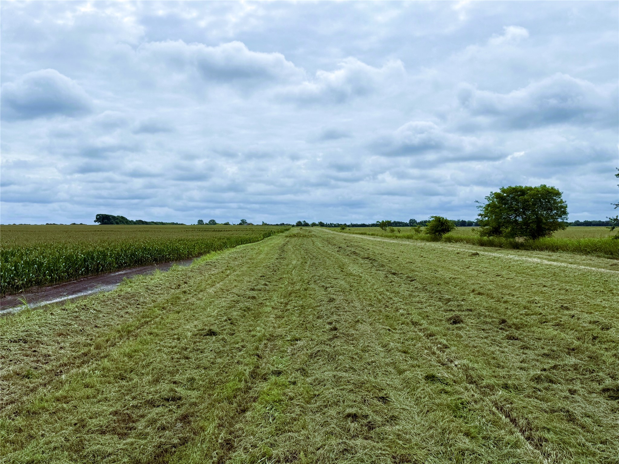 Tbd Fm Highway 272 Leonard TX 75452