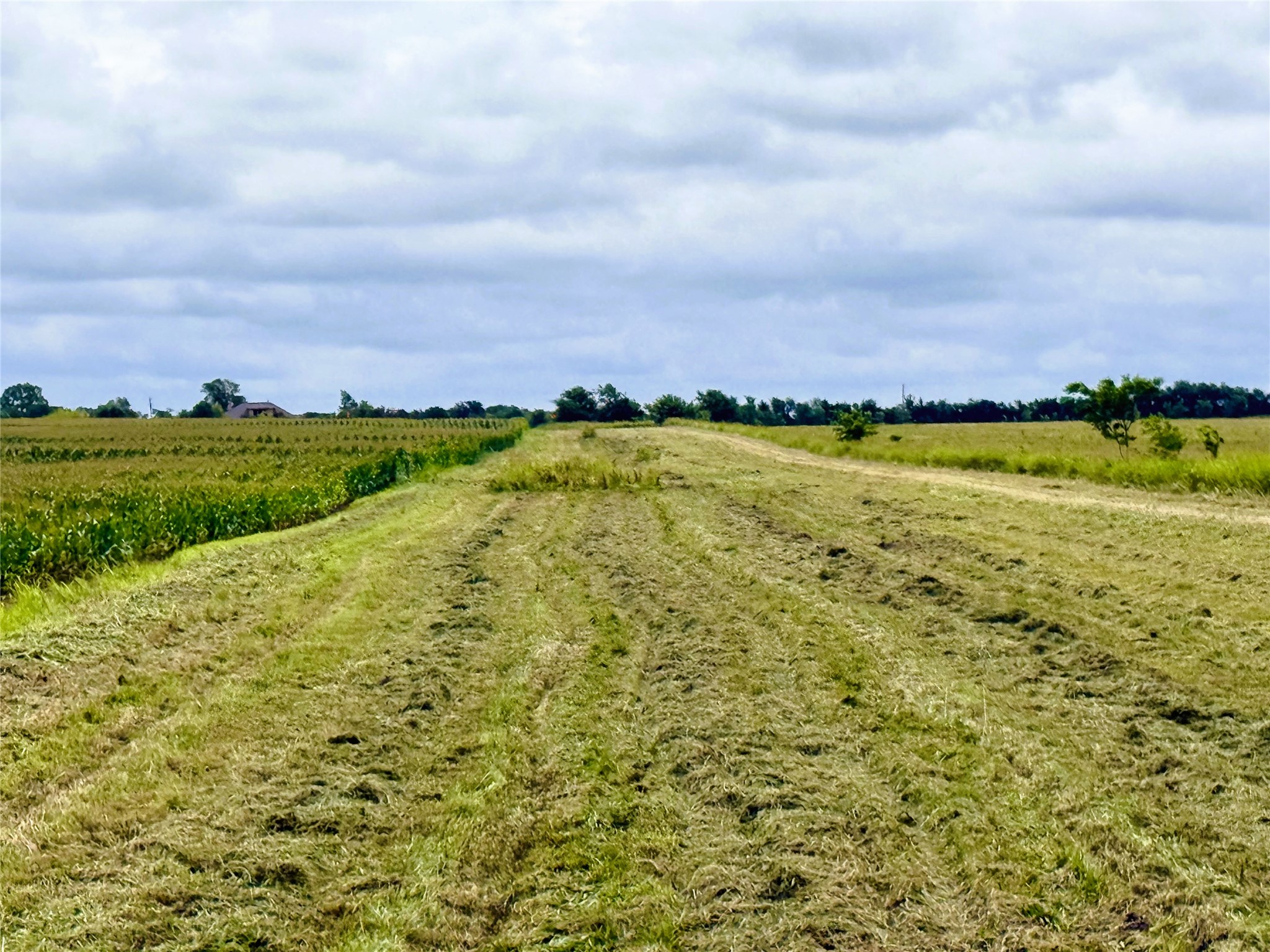 Tbd Fm Highway 272 Leonard TX 75452