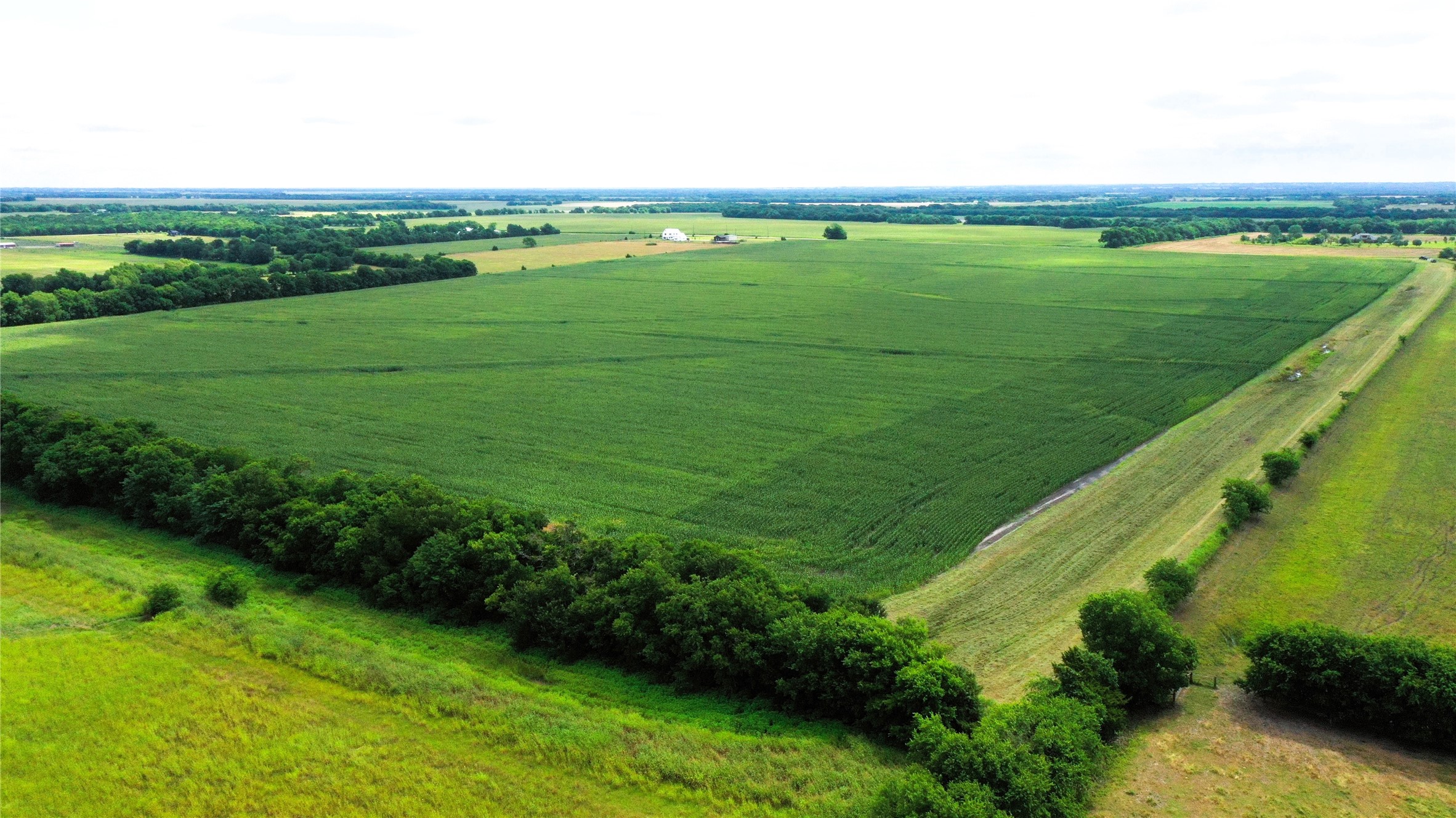 Tbd Fm Highway 272 Leonard TX 75452