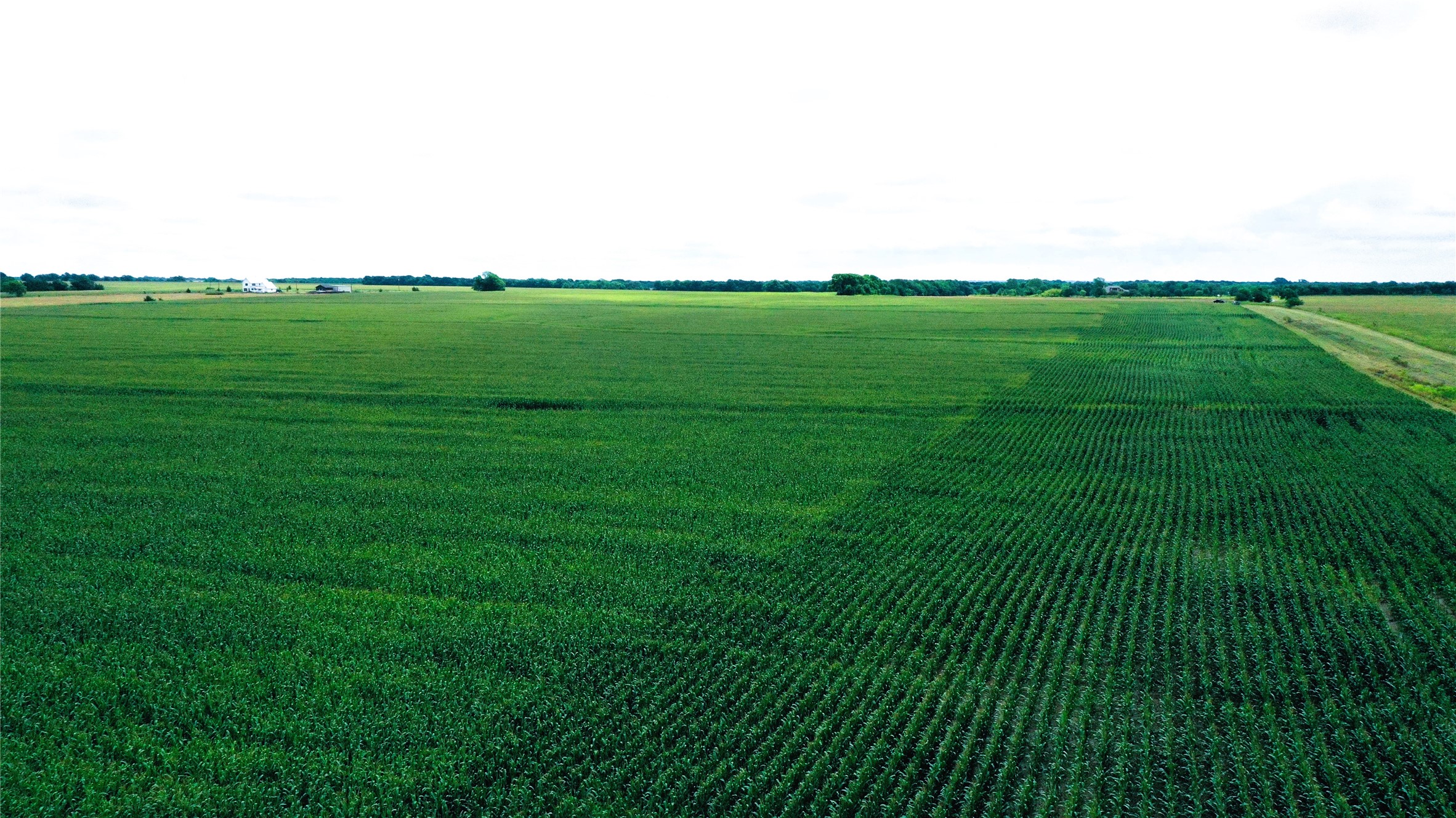 Tbd Fm Highway 272 Leonard TX 75452