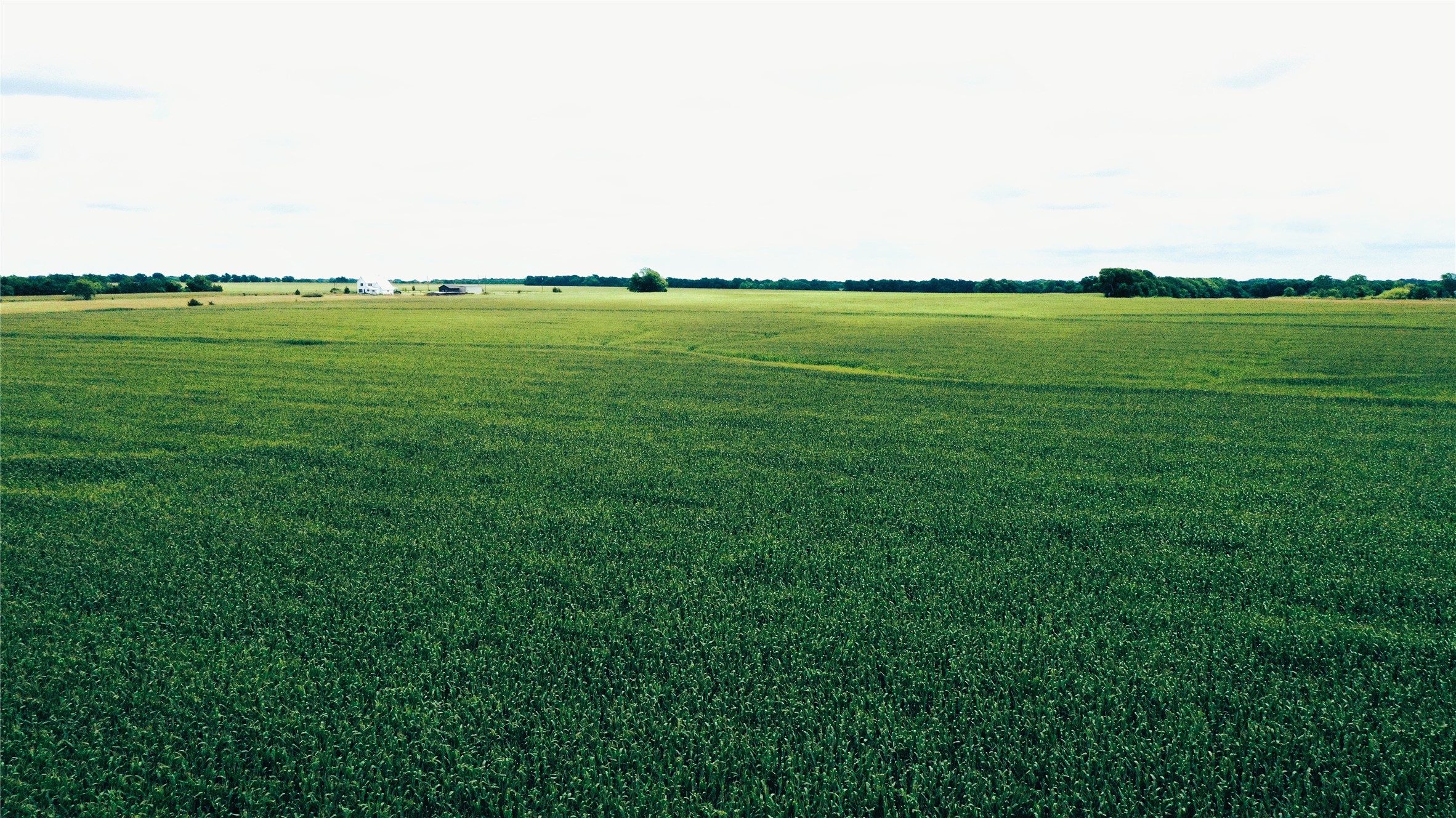 Tbd Fm Highway 272 Leonard TX 75452
