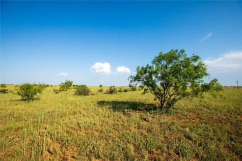 Tbd County Road 458 Colorado City TX 79512