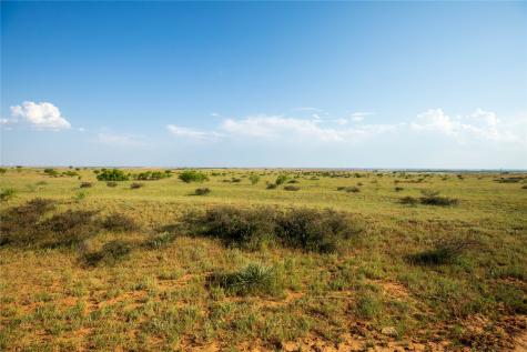 Tbd County Road 458 Colorado City TX 79512