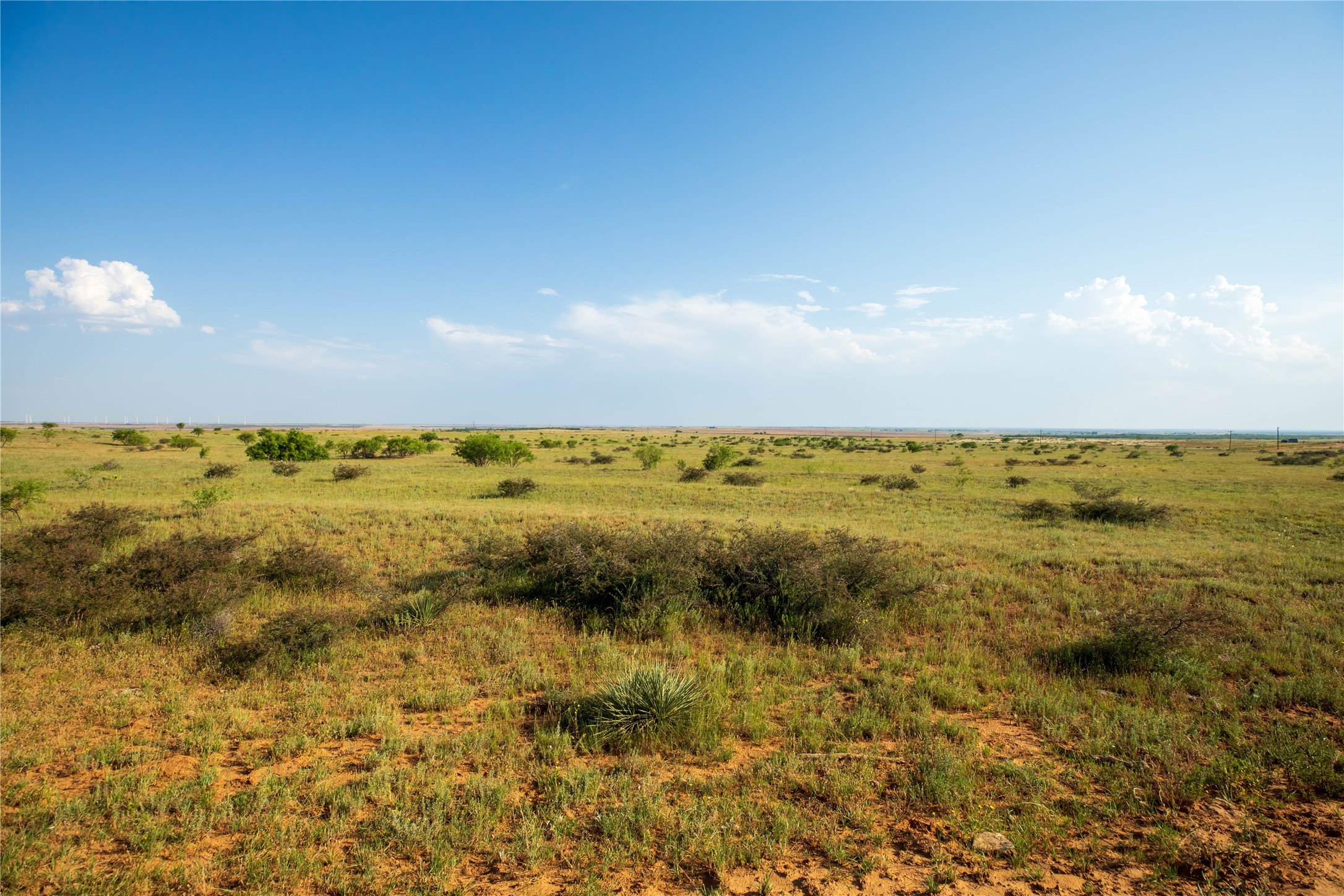 Tbd County Road 458 Colorado City TX 79512
