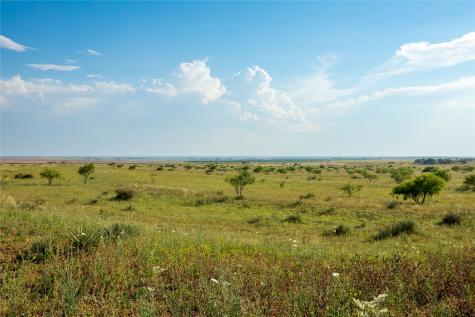 Tbd County Road 458 Colorado City TX 79512