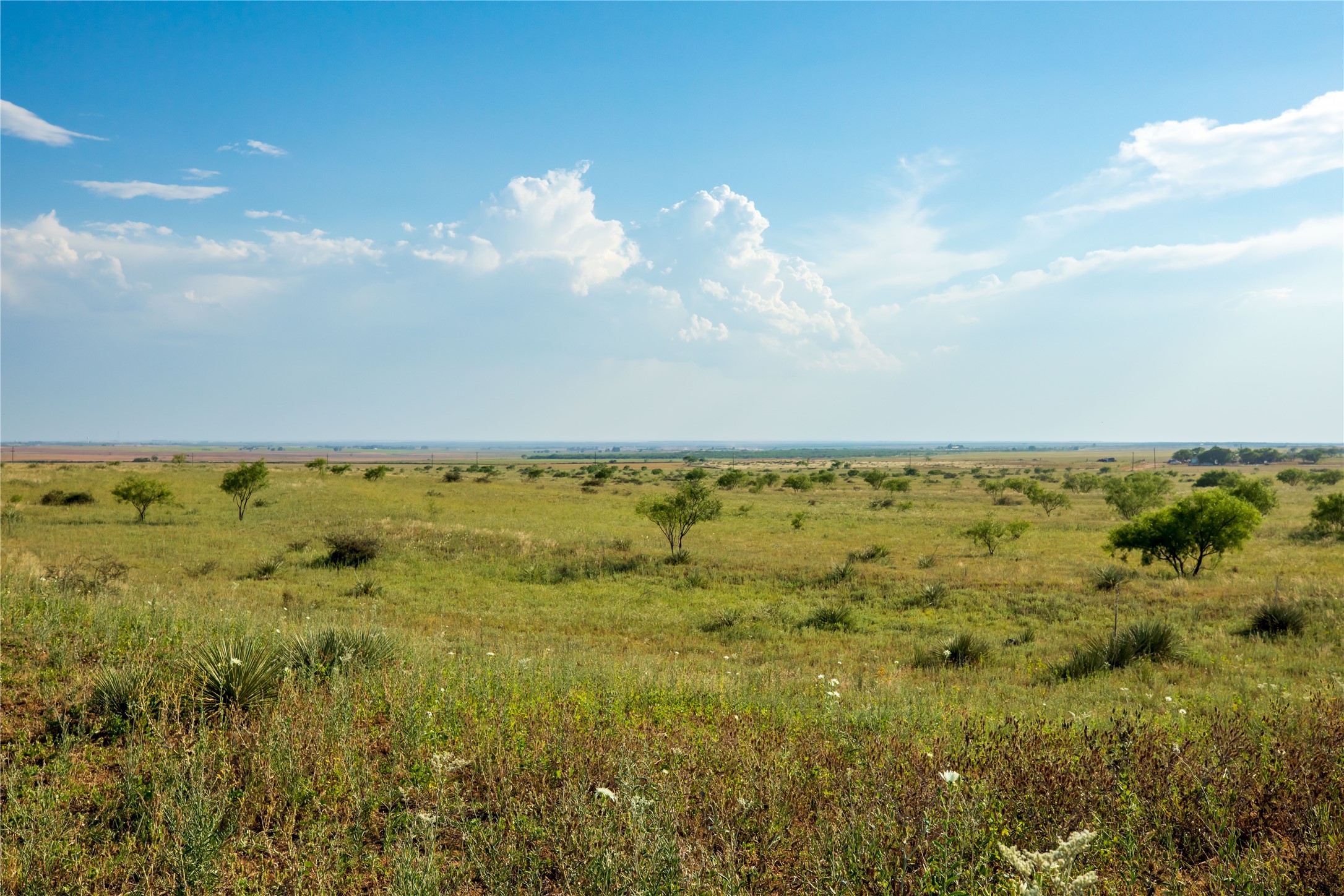 Tbd County Road 458 Colorado City TX 79512