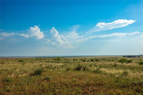 Tbd County Road 458 Colorado City TX 79512