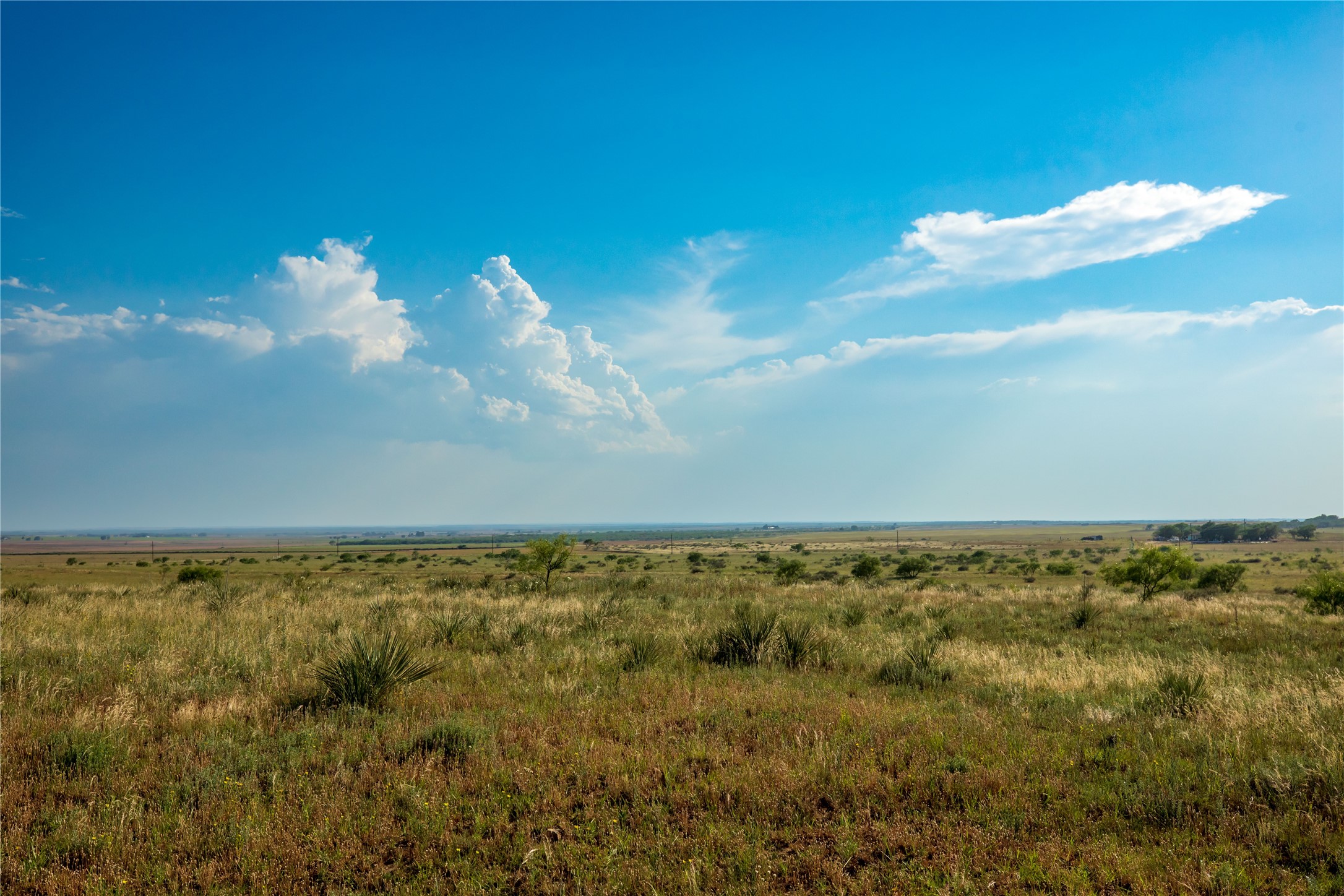 Tbd County Road 458 Colorado City TX 79512
