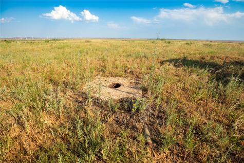 Tbd County Road 458 Colorado City TX 79512