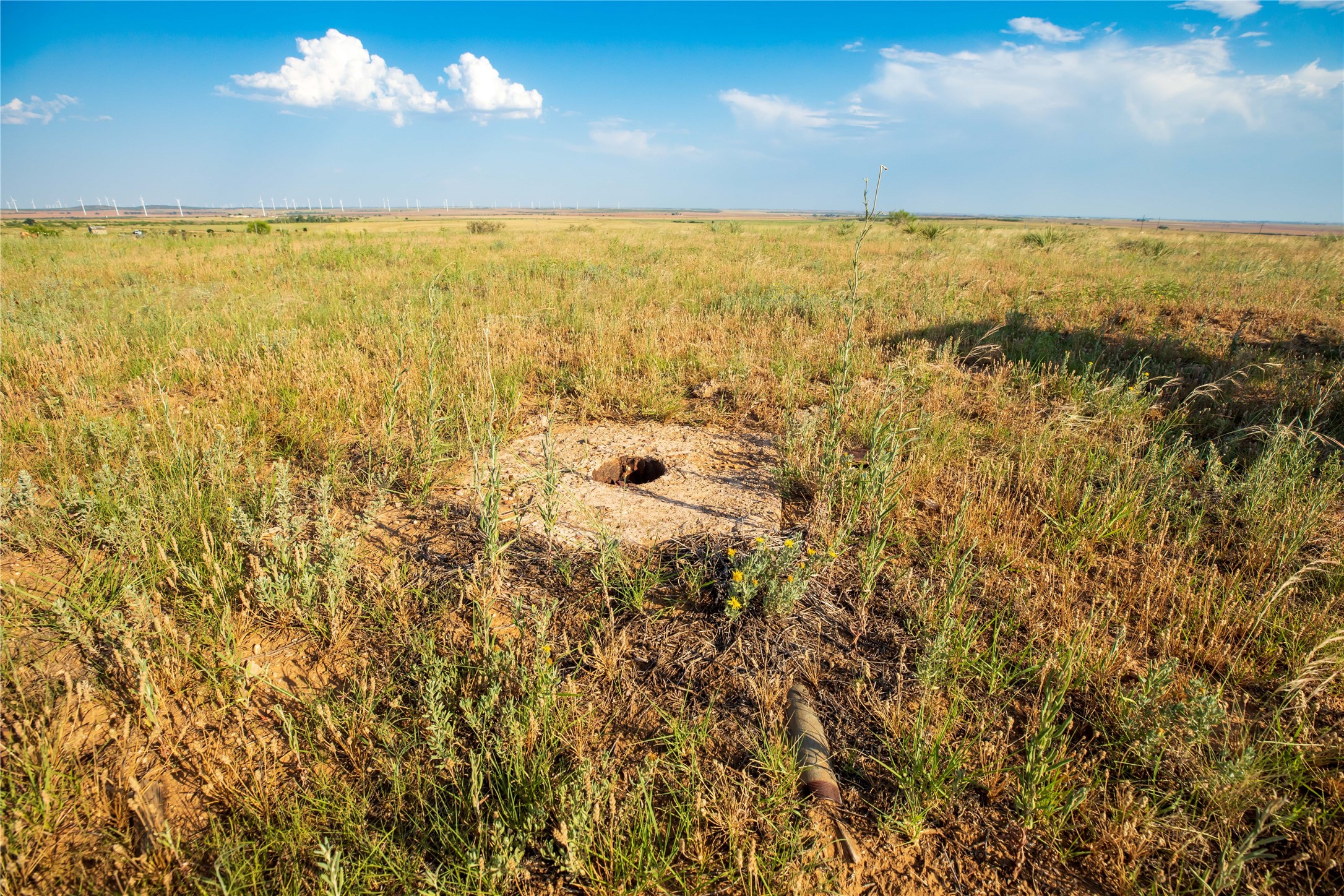 Tbd County Road 458 Colorado City TX 79512