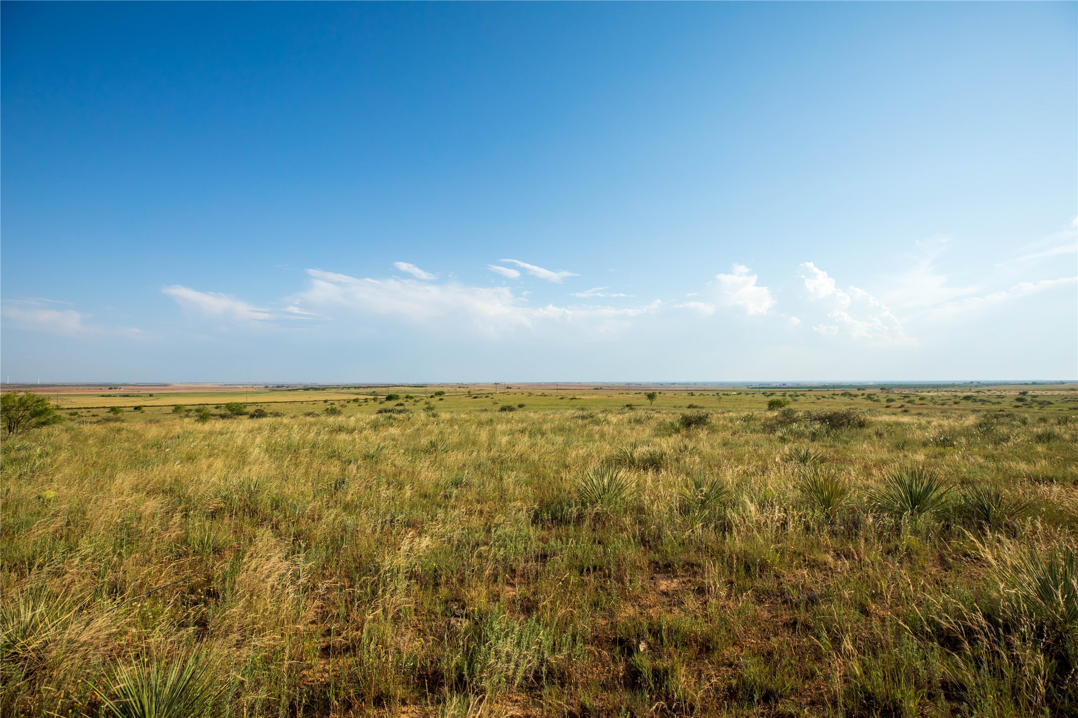 Tbd County Road 458 Colorado City TX 79512