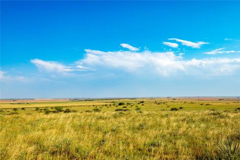Tbd County Road 458 Colorado City TX 79512