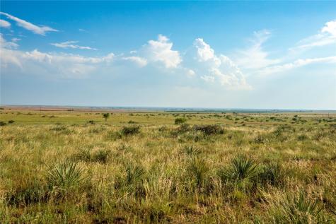 Tbd County Road 458 Colorado City TX 79512