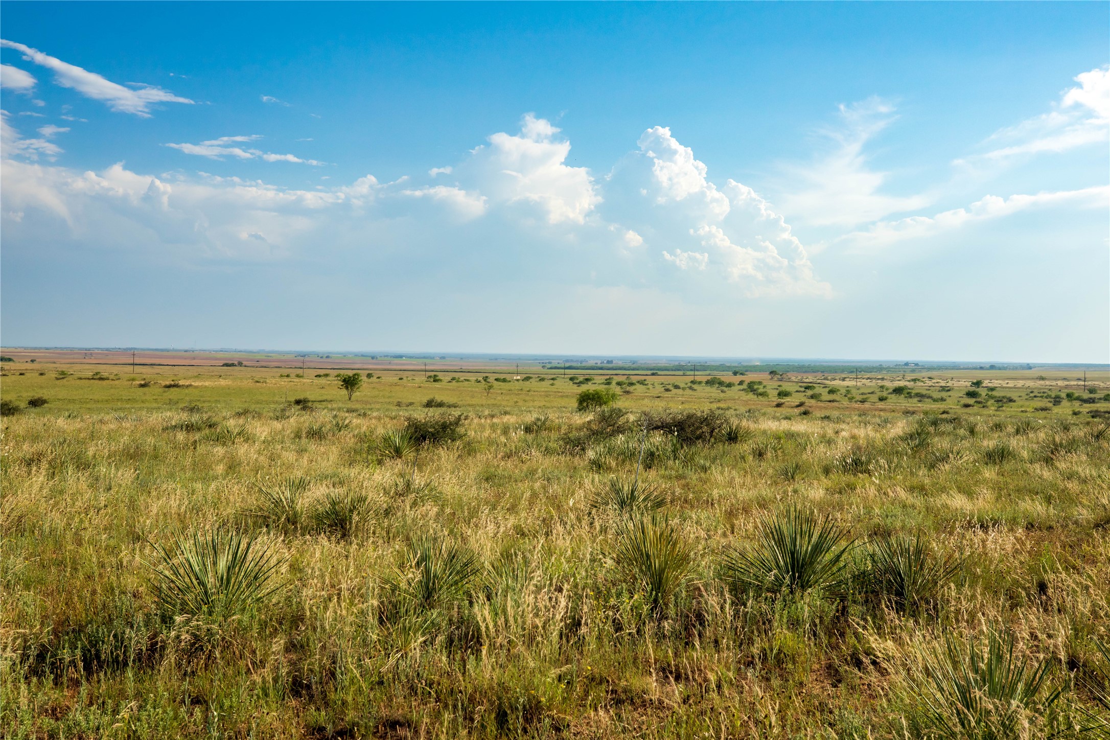 Tbd County Road 458 Colorado City TX 79512