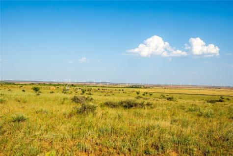 Tbd County Road 458 Colorado City TX 79512