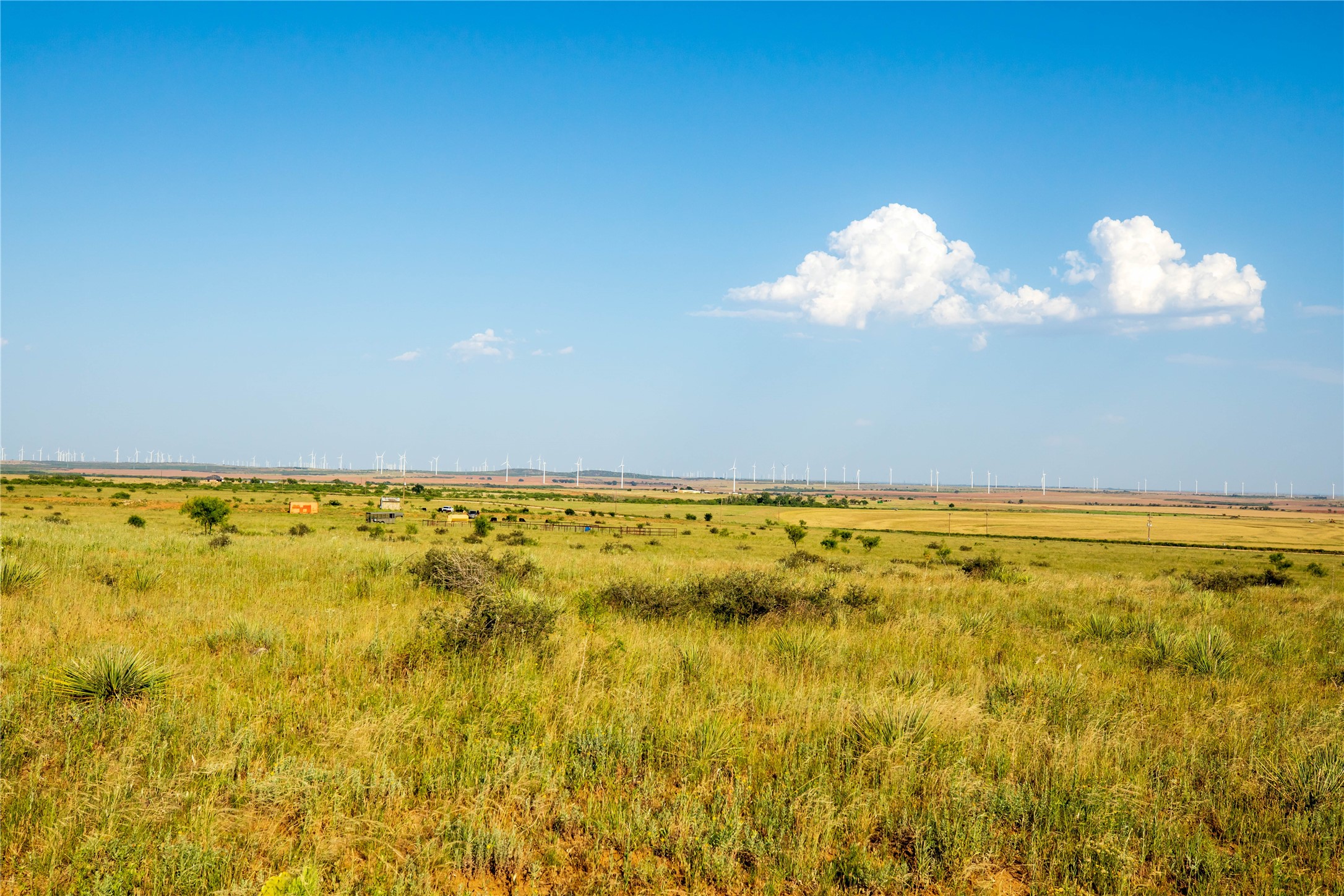 Tbd County Road 458 Colorado City TX 79512