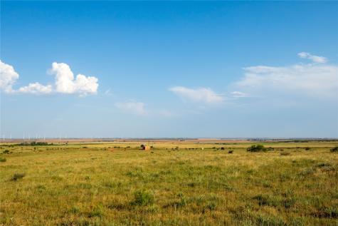 Tbd County Road 458 Colorado City TX 79512