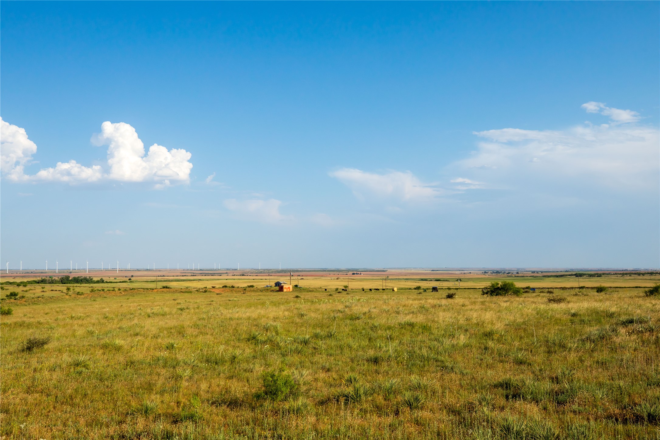 Tbd County Road 458 Colorado City TX 79512