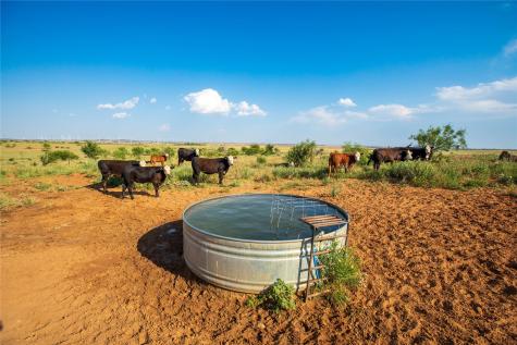 Tbd County Road 458 Colorado City TX 79512