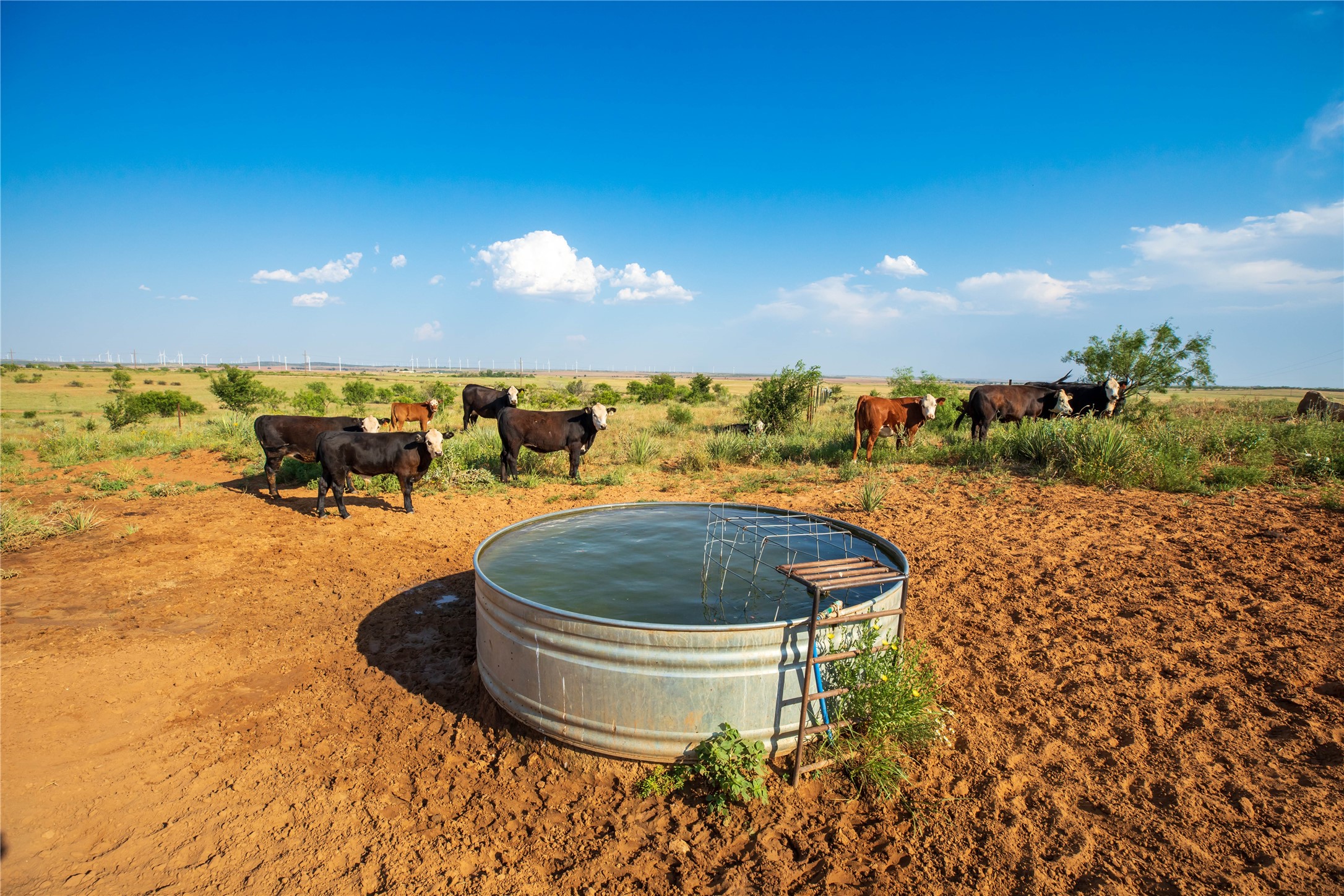 Tbd County Road 458 Colorado City TX 79512