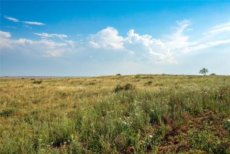 Tbd County Road 458 Colorado City TX 79512