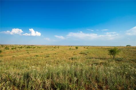 Tbd County Road 458 Colorado City TX 79512
