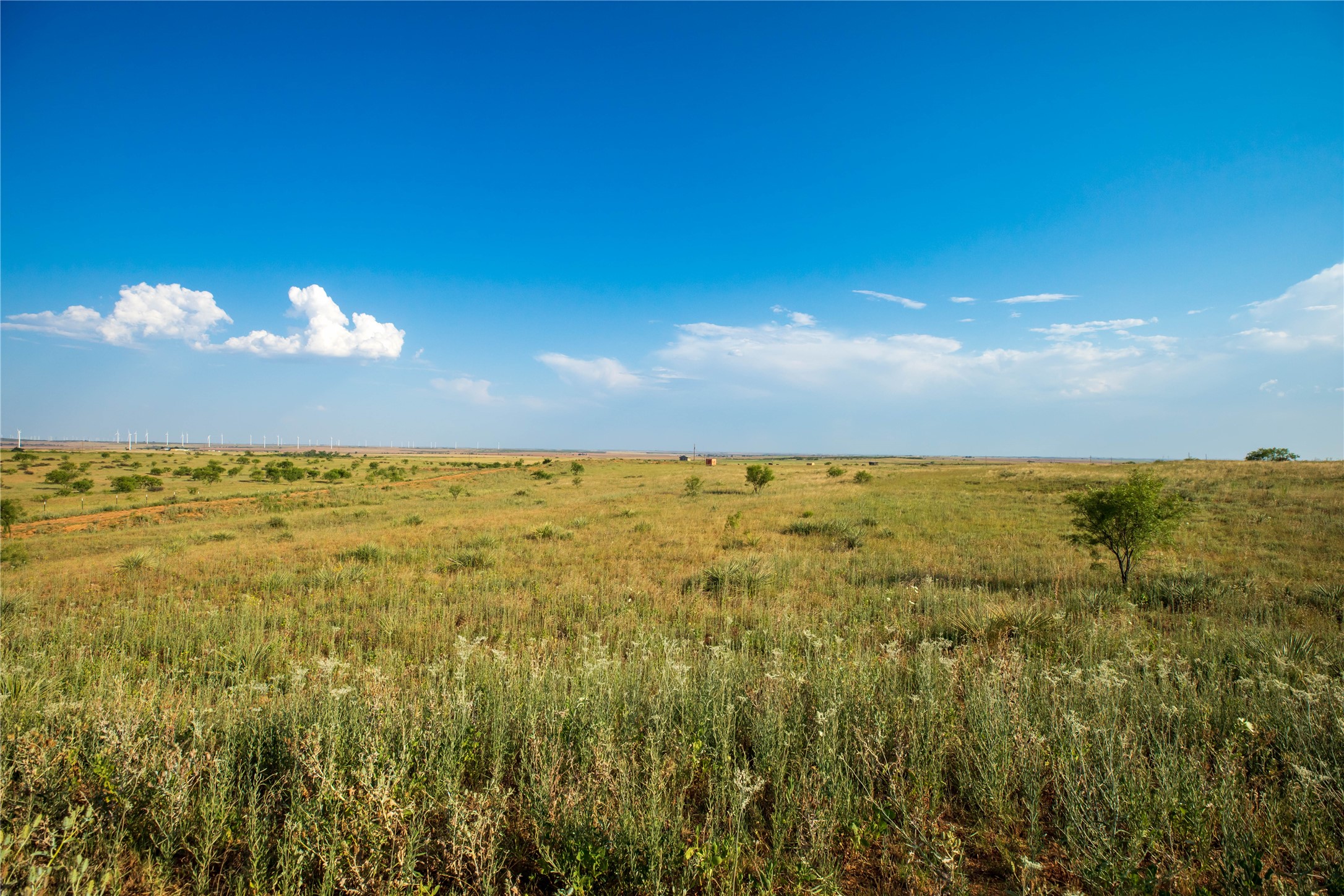 Tbd County Road 458 Colorado City TX 79512