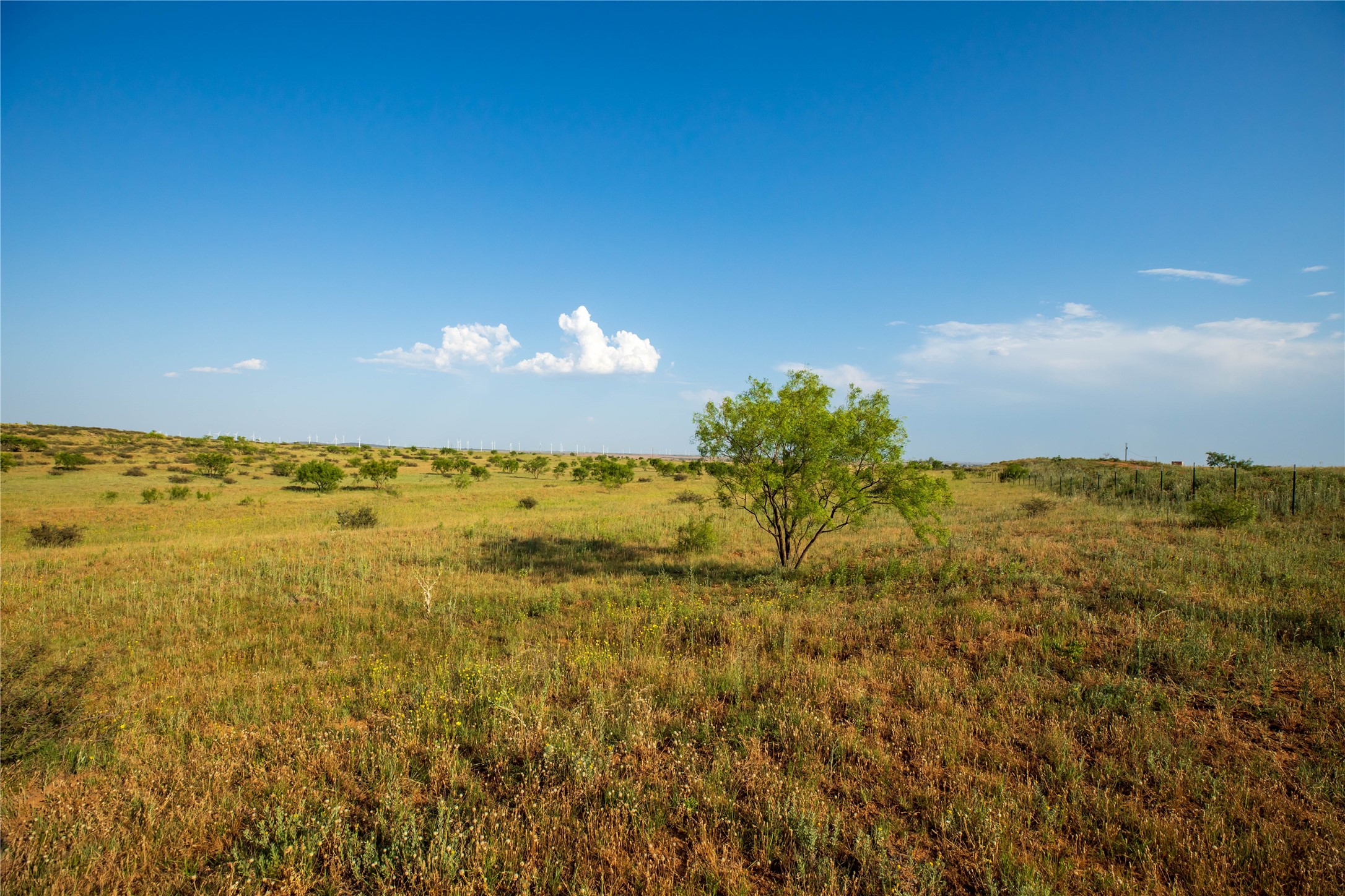 Tbd County Road 458 Colorado City TX 79512
