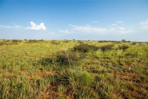 Tbd County Road 458 Colorado City TX 79512