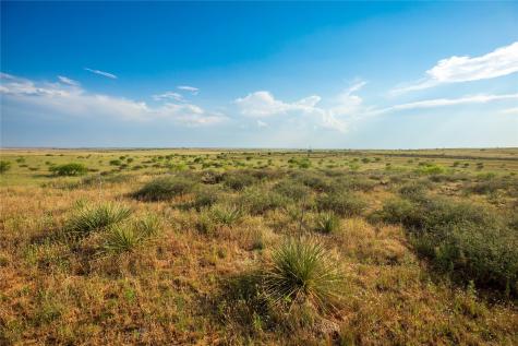 Tbd County Road 458 Colorado City TX 79512