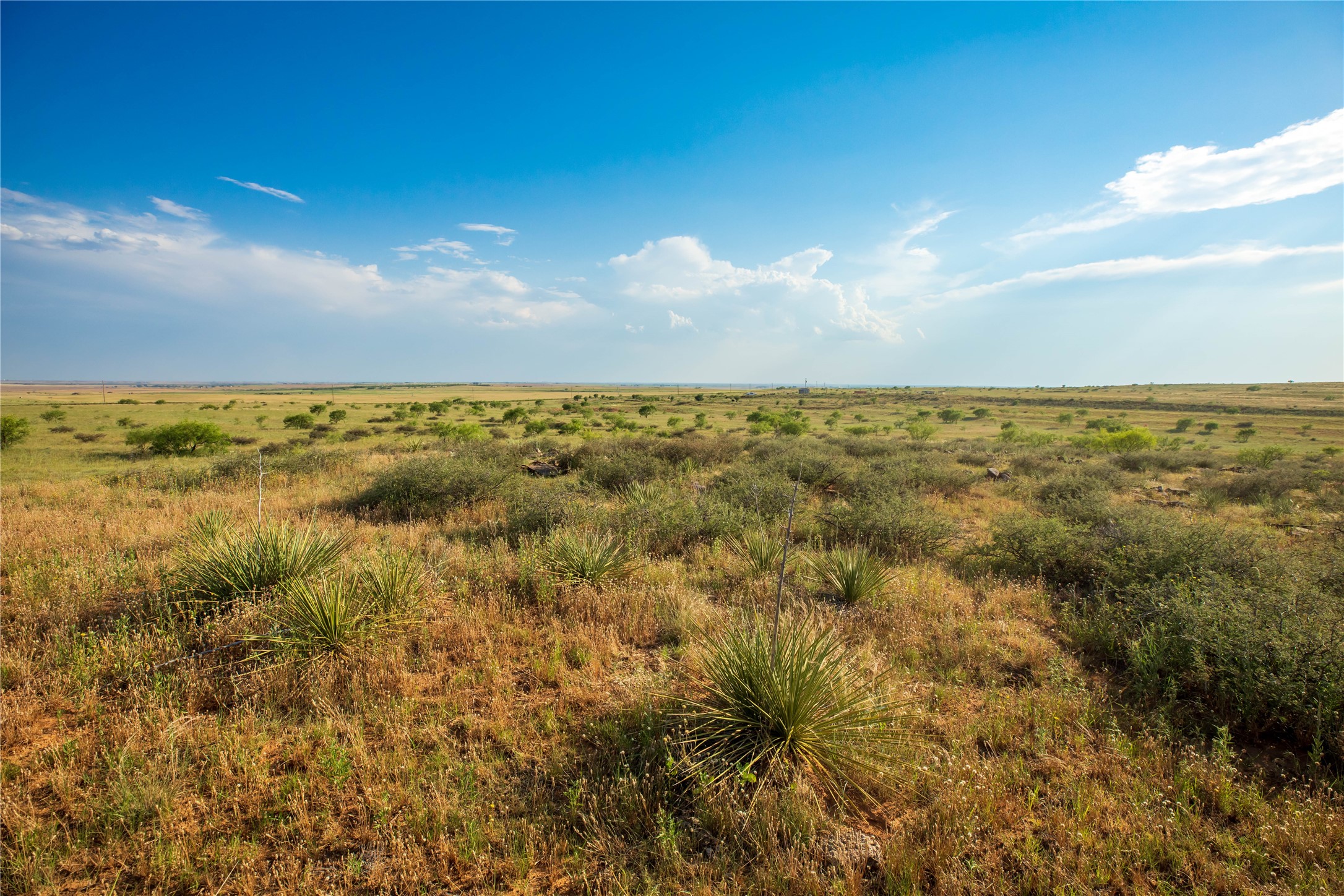 Tbd County Road 458 Colorado City TX 79512