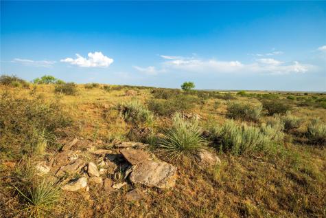 Tbd County Road 458 Colorado City TX 79512