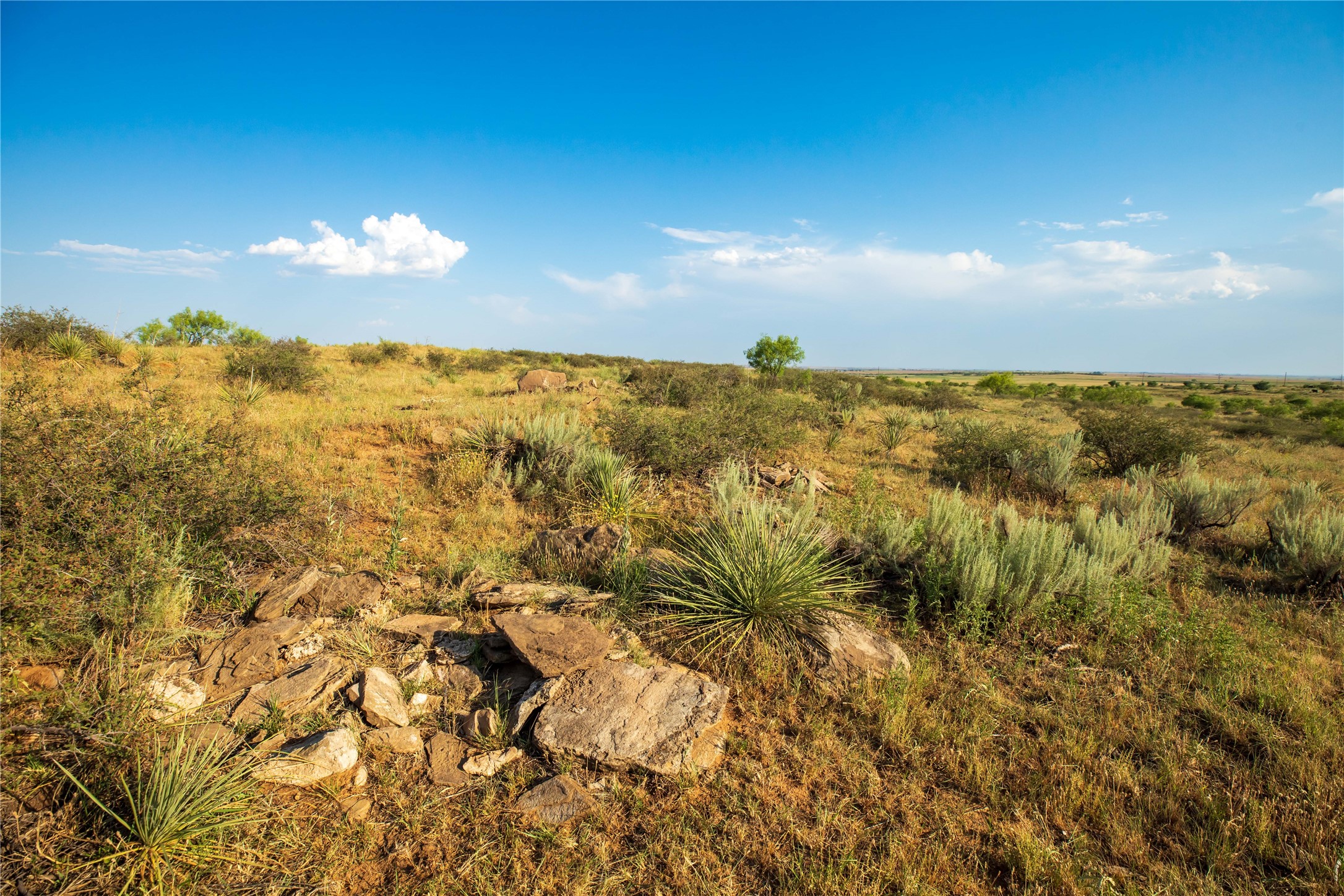 Tbd County Road 458 Colorado City TX 79512