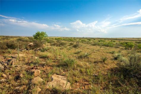 Tbd County Road 458 Colorado City TX 79512