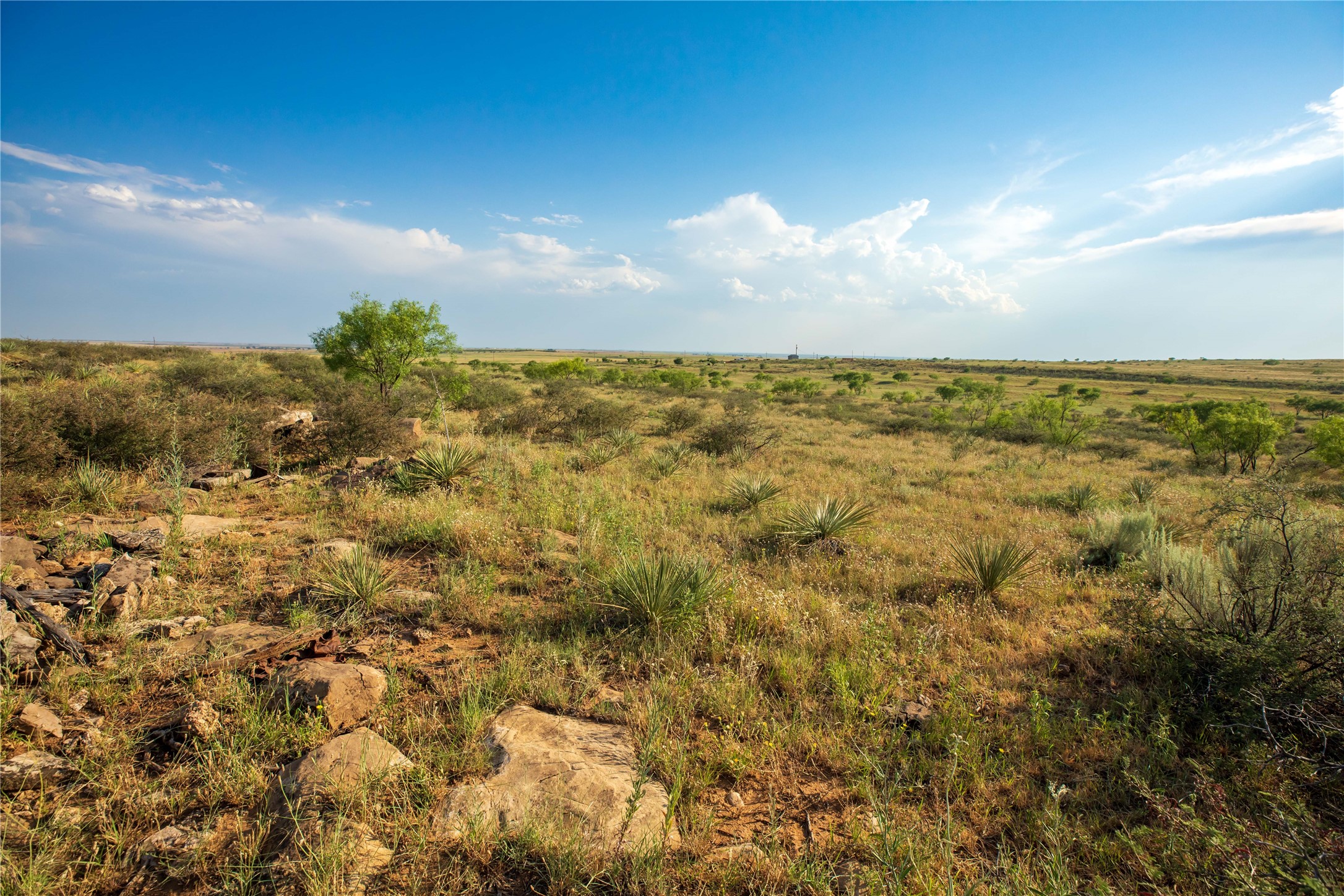 Tbd County Road 458 Colorado City TX 79512